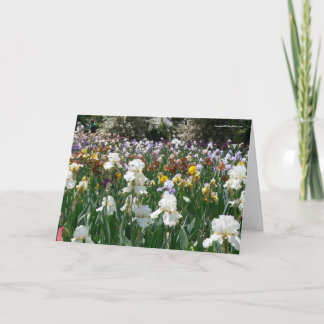 Cartão Jardim Íris - Feliz Aniversário!