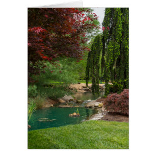 Cartão Jardim pacífico