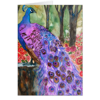 Cartão Jardim Peacock
