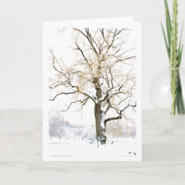 Cartão Jardim Público de Boston: adicione sua saudação