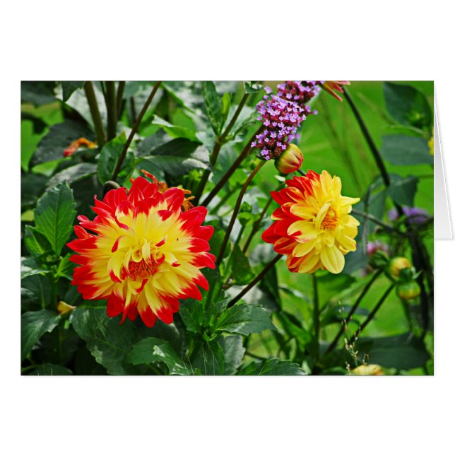 Cartão Jardin des Plantes-2 (Frente Horizontal)