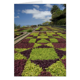 Cartão Jardins Botânicos, Funchal, Ilhas da Madeira,