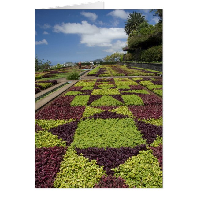 Cartão Jardins Botânicos, Funchal, Ilhas da Madeira, (Frente)