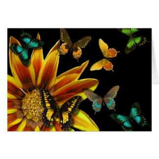Cartão Jardins da borboleta