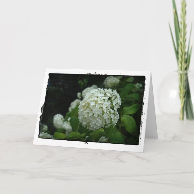 Cartão Jardins de Suecia (Frente)