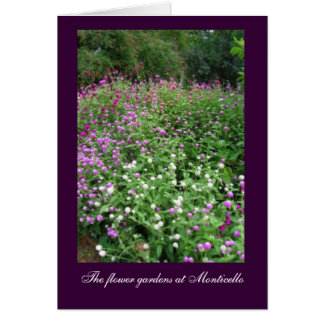 Cartão Jardins Flores Monticello