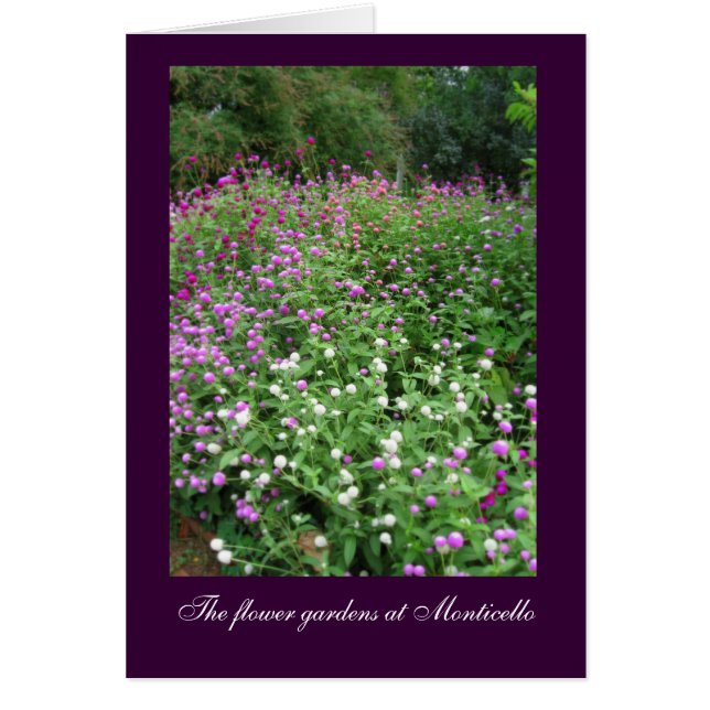 Cartão Jardins Flores Monticello (Frente)