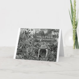 Cartão Jardins Secretos