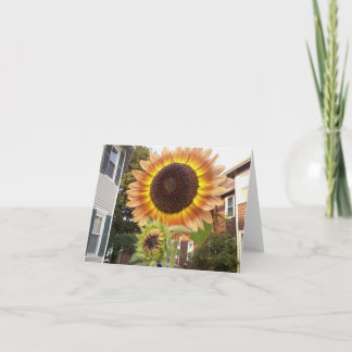 Cartão Jardins urbanos Notecard