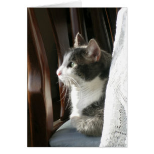 Cartão "Jasmim" (2)