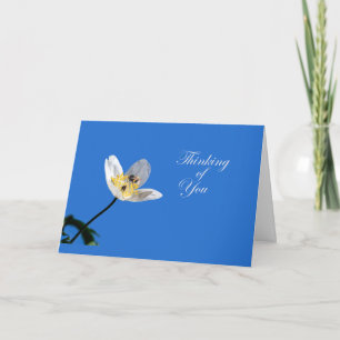 Cartão Jasmine e Bumblebee