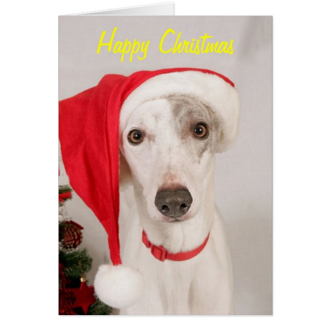 Cartão Jasper, o Cão de Natal (Frente)