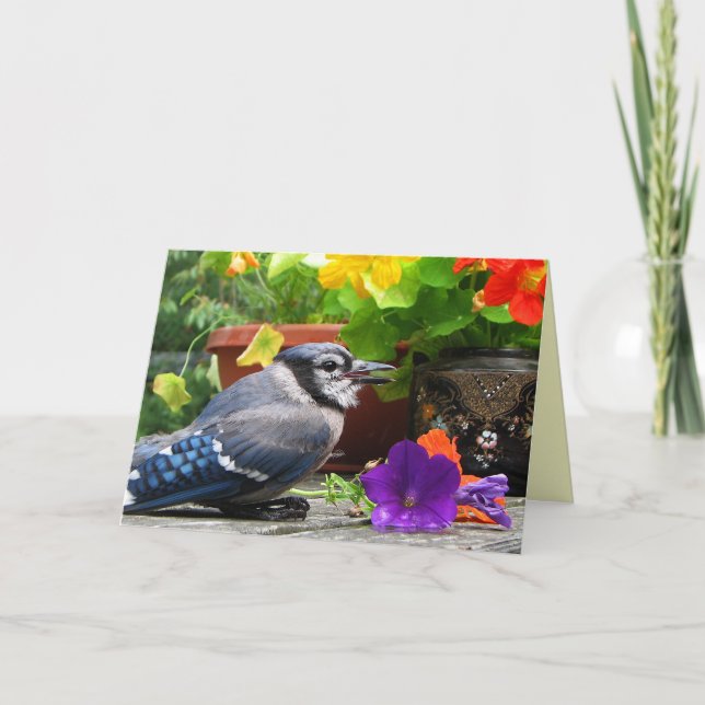 Cartão Jay azul floresce o dia das mães (Frente)