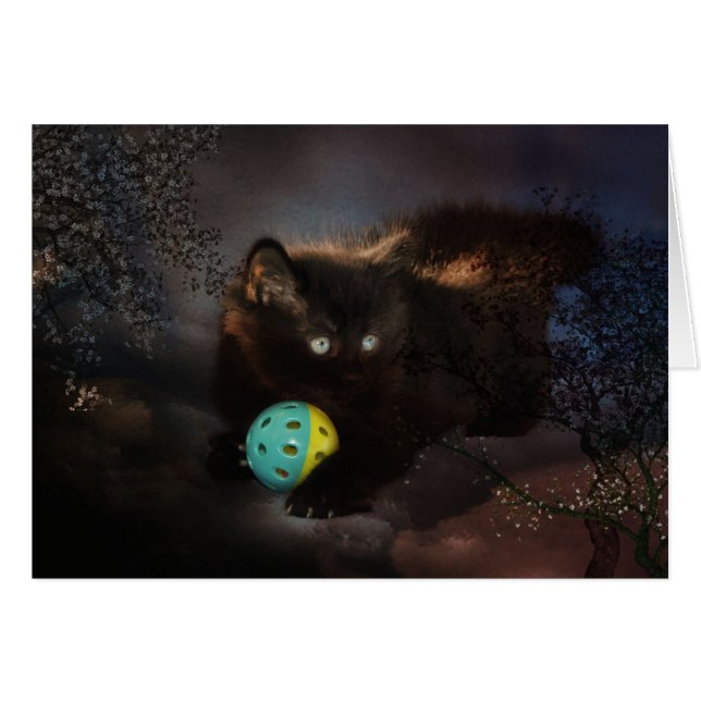 Cartão Jellybean preto (Frente Horizontal)