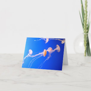 Cartão Jellyfish Note Card