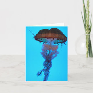 Cartão Jellyfish Notecard