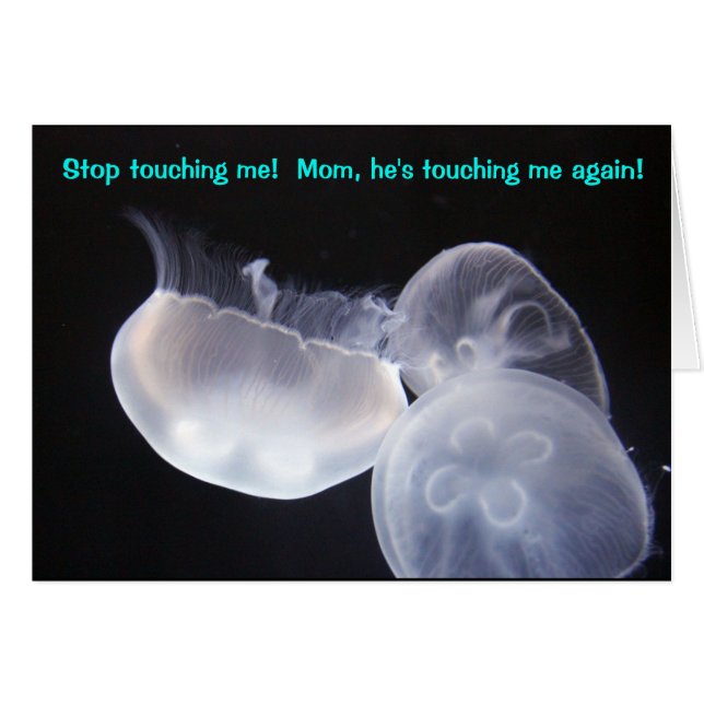 Cartão Jellyfish Touch (Frente Horizontal)