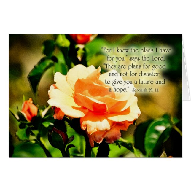 Cartão Jer29_11Zazzle (Frente horizontal)