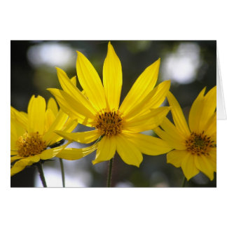 Cartão Jerusalem Artichoke