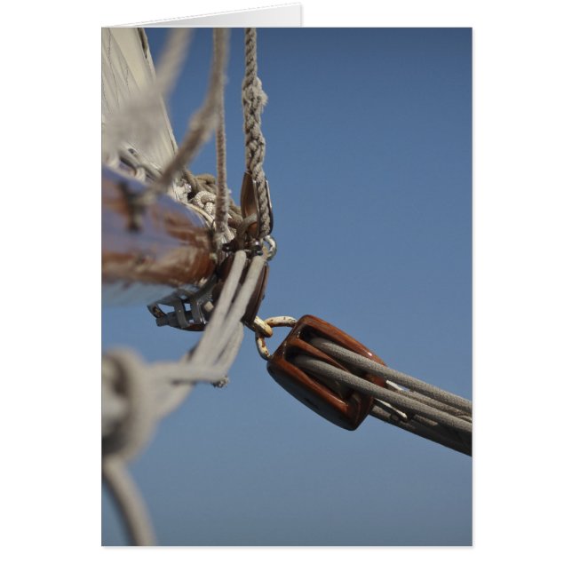 Cartão Jib de vela (Frente)