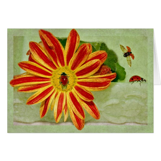 Cartão Joaninha do joaninha do joaninha! (Frente Horizontal)