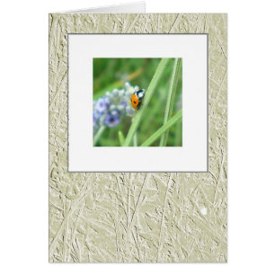 Cartão Joaninha em uma haste