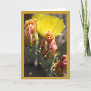 Cartão Jogo de Thorns