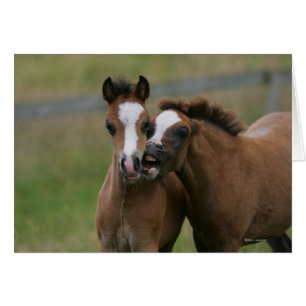 Cartão Jogo dos potros