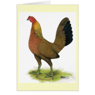 Cartão Jogo Hen: Penteado