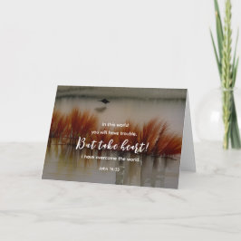 Cartão John 16:33 Eu tenho a Bíblia Verse Christian