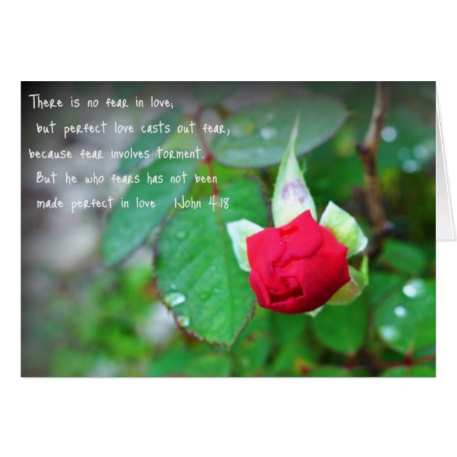 Cartão John 4:18 (Frente horizontal)