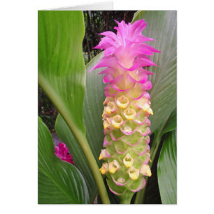 Cartão Jóia de Tailândia