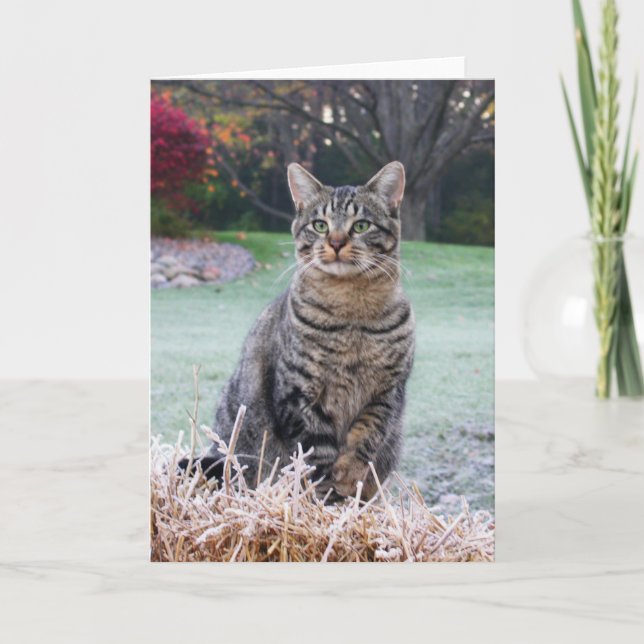 Cartão Joia na palha (Frente)