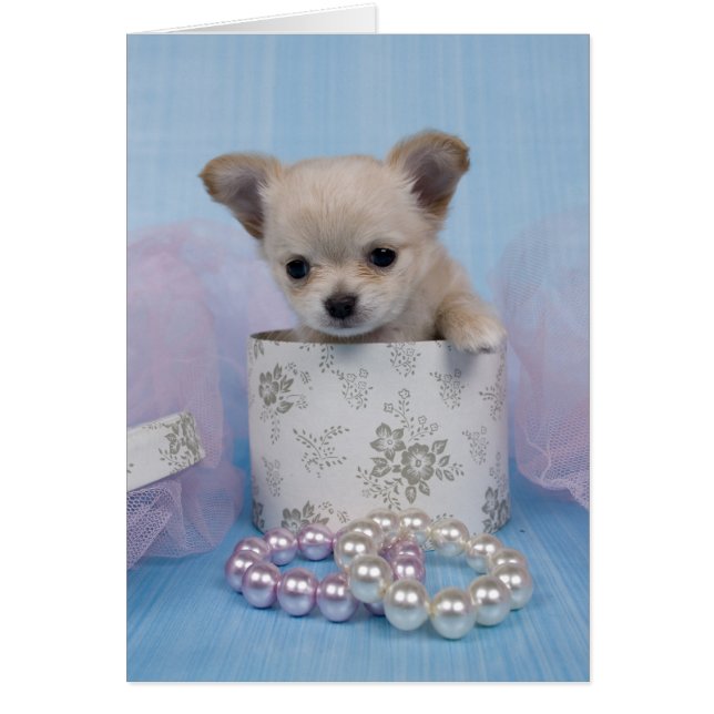 Cartão Joias (Frente)