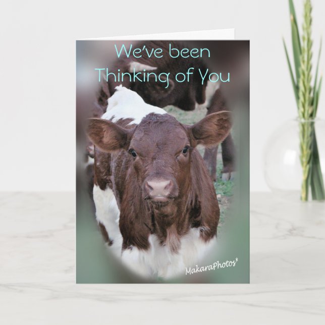 Cartão JolCrd-GetWell ou Simpatia-personaliza (Frente)