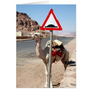 Cartão jordan camel stop