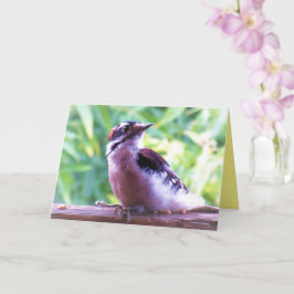 Cartão Jovem Male Downy Woodpecker em Trilha