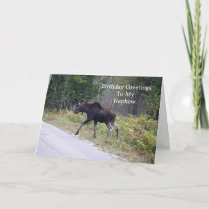 Cartão Jovem Moose no Aniversário do Sobrinho na Estrada