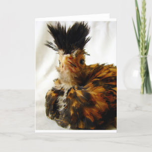 Cartão Jovem Polonês