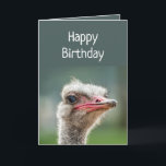 Cartão Jovem, Sua Vez, Vire-Se De Ostrich Judgmental<br><div class="desc">Todos se tornam jovens uma vez,  mas agora é o seu humor de aniversário para aqueles que estão por cima da colina,  com o engraçado Judgmental Ostrich</div>