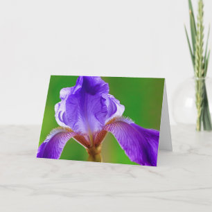Cartão Joyful Iris Birthday