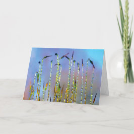 Cartão Joyful, Serene, Histórias na Nature Dew Drop