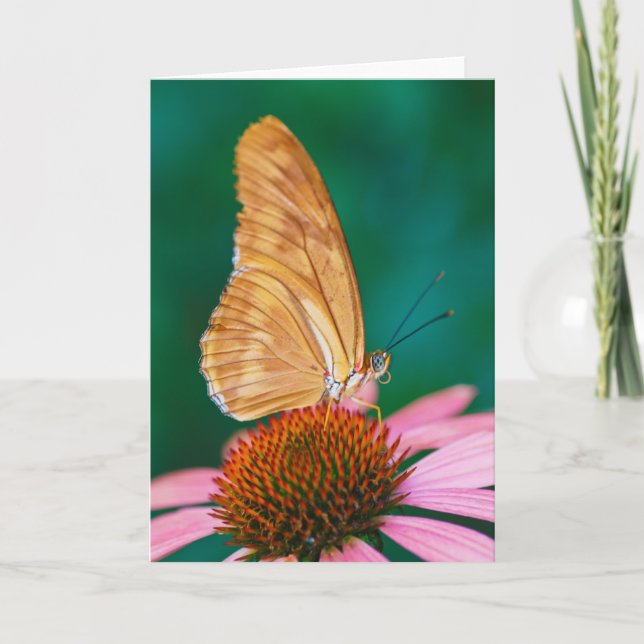 Cartão Julia (Frente)