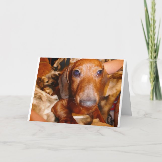 Cartão Jumbo (Frente)