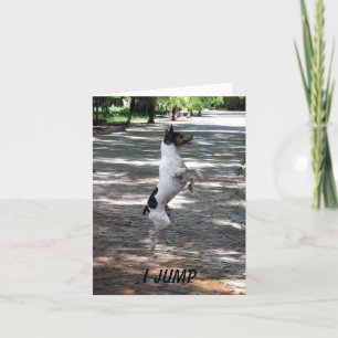 Cartão Jump For Joy
