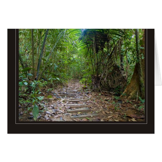 Cartão jungle (Frente Horizontal)