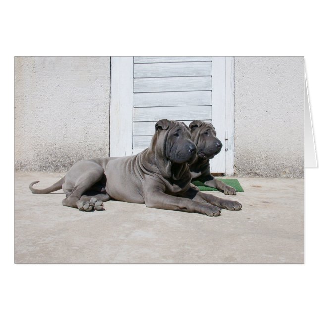 Cartão Juntos... (Frente Horizontal)