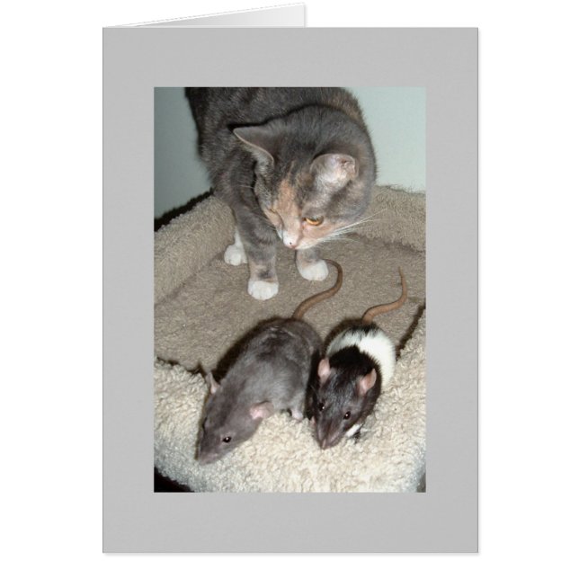 Cartão juntos podemos (Frente)