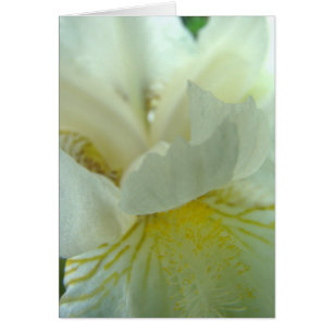 Cartão juste de candonga