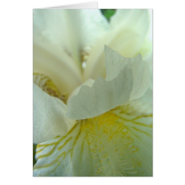 Cartão juste de tout (Frente)